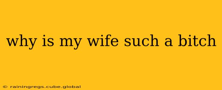 why is my wife such a bitch