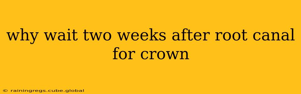 why wait two weeks after root canal for crown