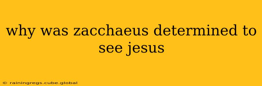 why was zacchaeus determined to see jesus