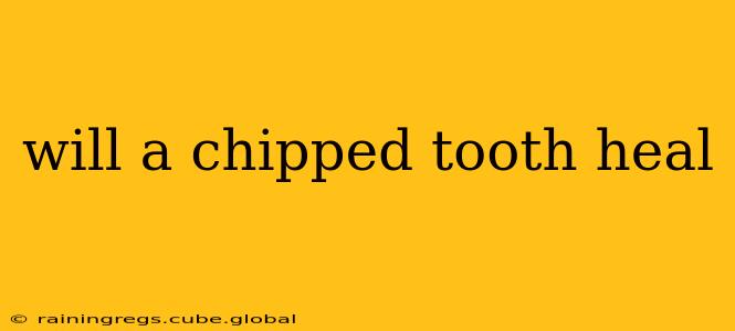 will a chipped tooth heal