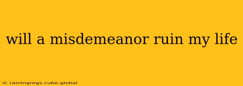 will a misdemeanor ruin my life