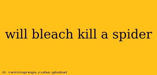will bleach kill a spider