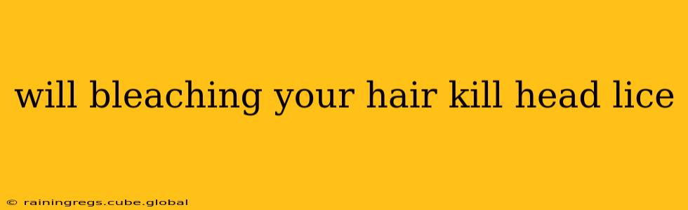 will bleaching your hair kill head lice
