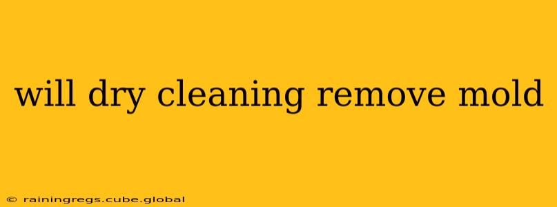 will dry cleaning remove mold