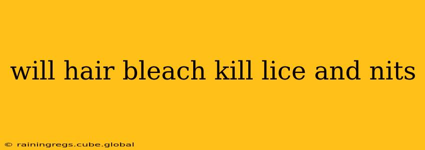 will hair bleach kill lice and nits