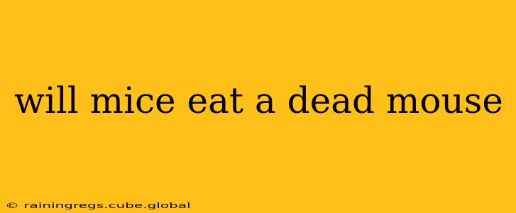 will mice eat a dead mouse