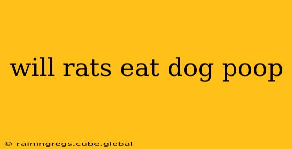 will rats eat dog poop