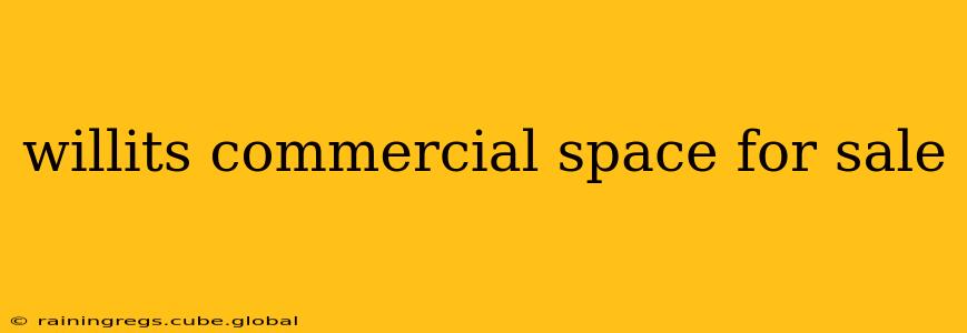 willits commercial space for sale