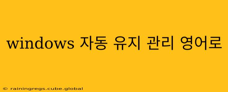 windows 자동 유지 관리 영어로