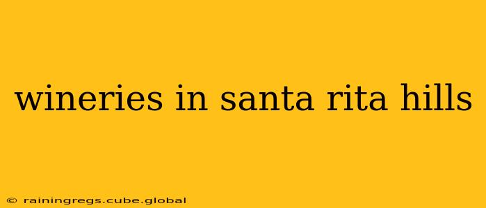 wineries in santa rita hills