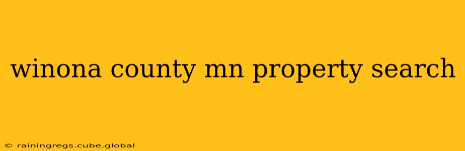 winona county mn property search