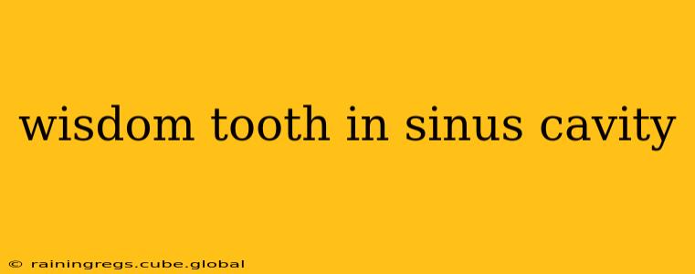 wisdom tooth in sinus cavity