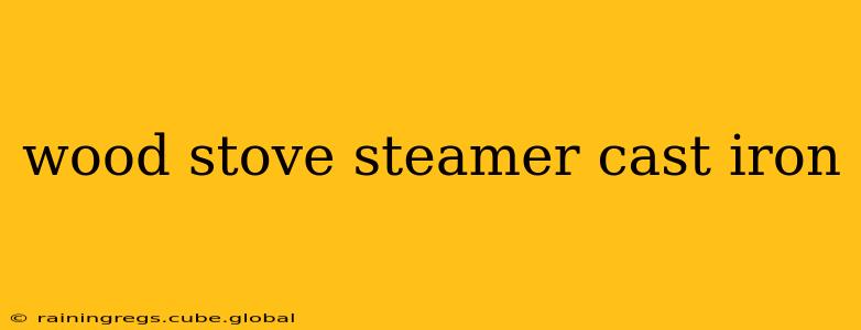 wood stove steamer cast iron